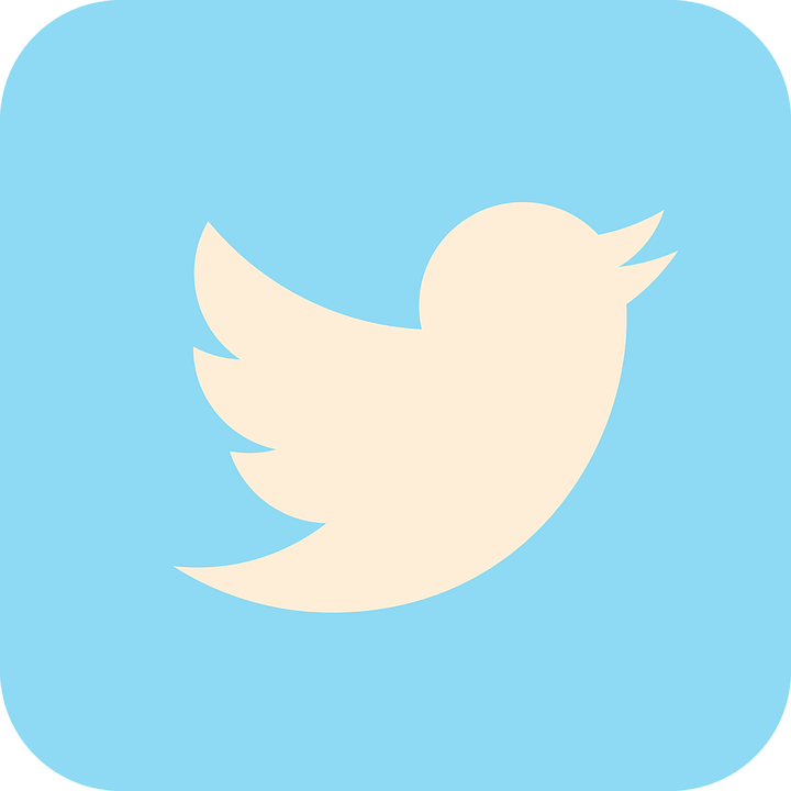 como usar o twitter