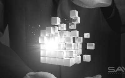 The Age of Digital Transformation and its Obstacles