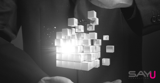 The Age of Digital Transformation and its Obstacles