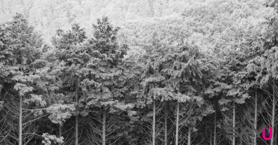 Campanhas de Sensibilização Ambiental