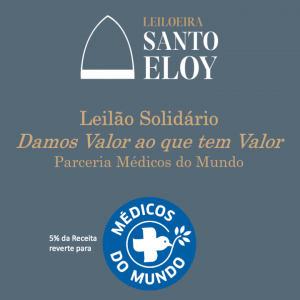 Leilão Solidário