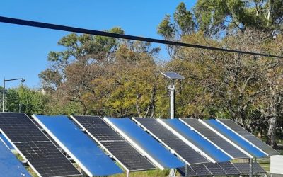 Image4All develops "agrovoltaic" project at FCUL