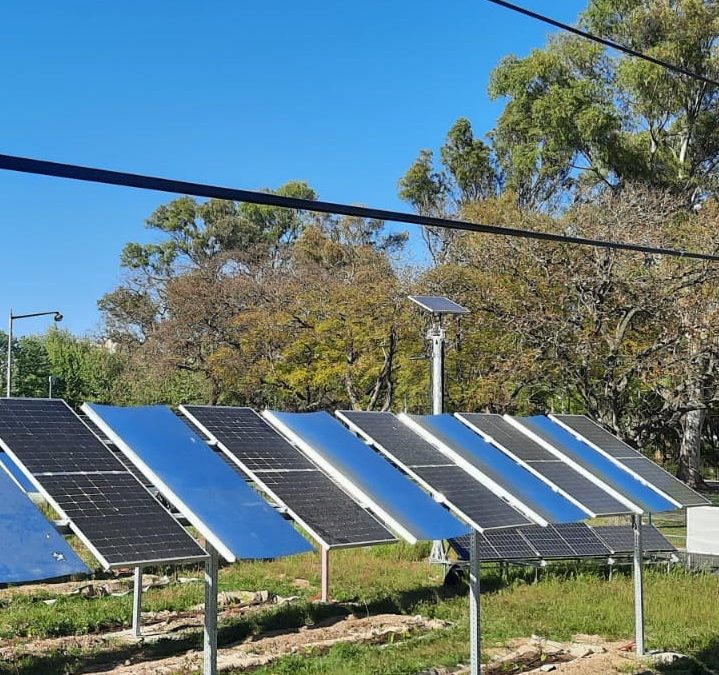 Image4All desenvolve projeto “agrovoltaico” na FCUL