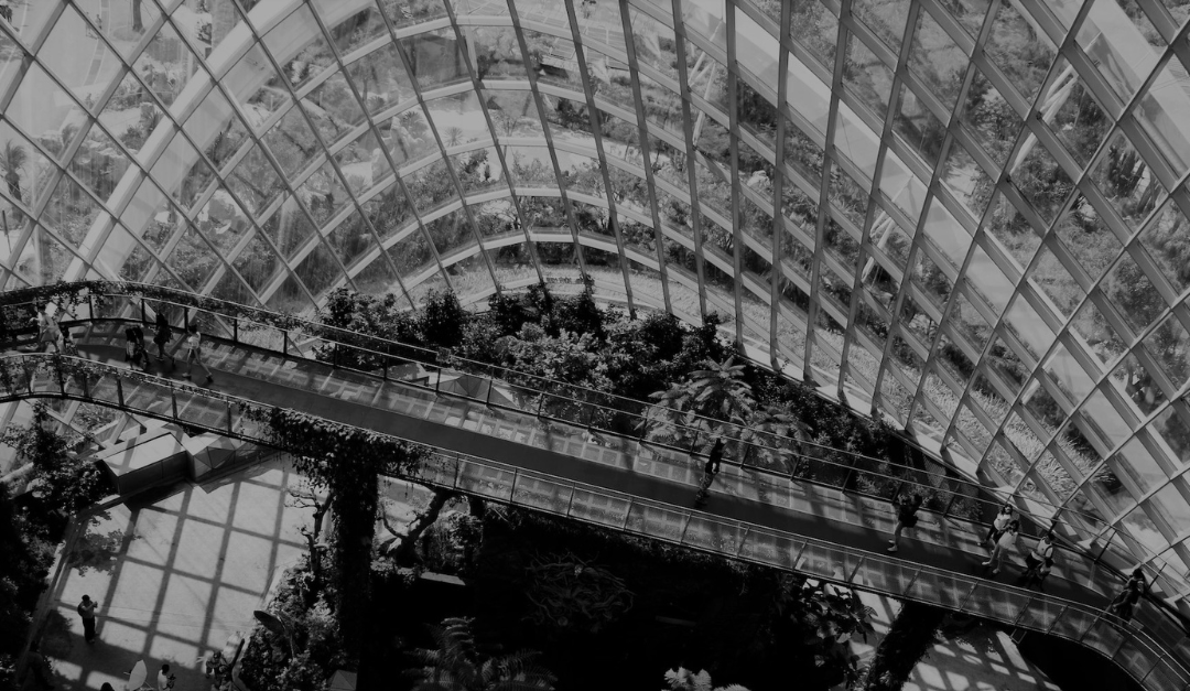 Comunicar sustentabilidade de forma estratégica