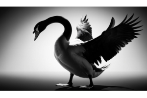 U’VE Got Mail Maio: Comunicar em modo “BLACK SWAN”