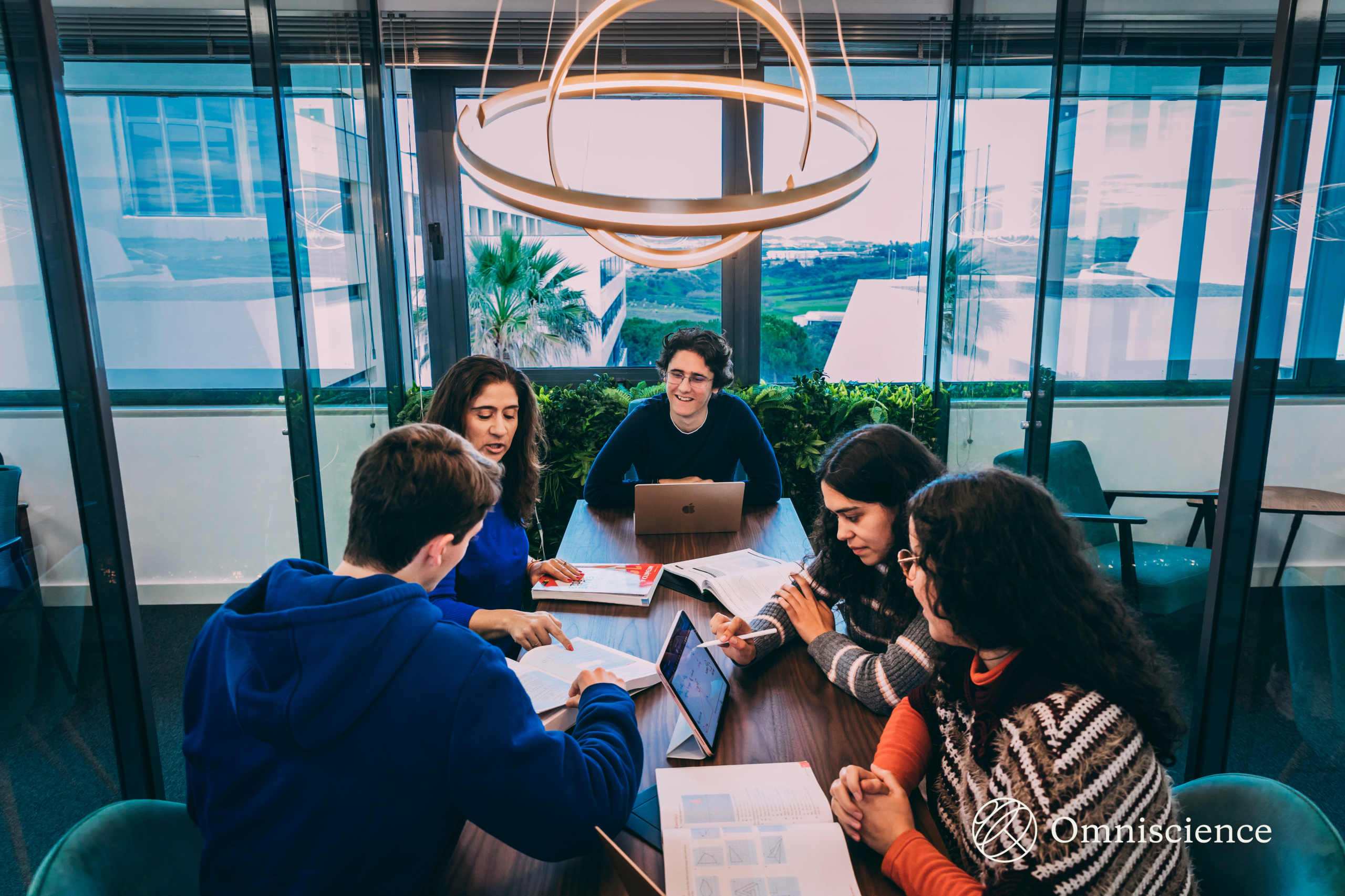 Omniscience Mentoring Group